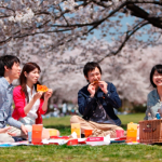 合宿免許に参加する際のおすすめの季節があったら教えてください