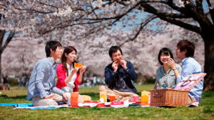 合宿免許に参加する際のおすすめの季節があったら教えてください