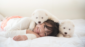 ペットと一緒に合宿免許に通う方法